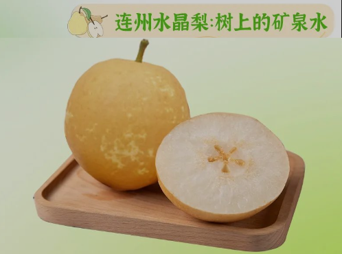 “桃李”炎暑，清冷一夏